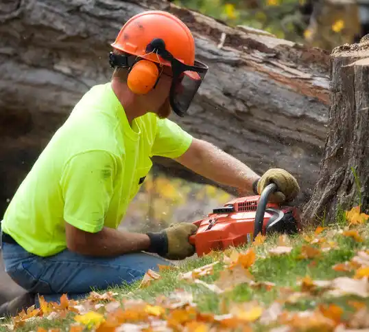 tree services McLeansville